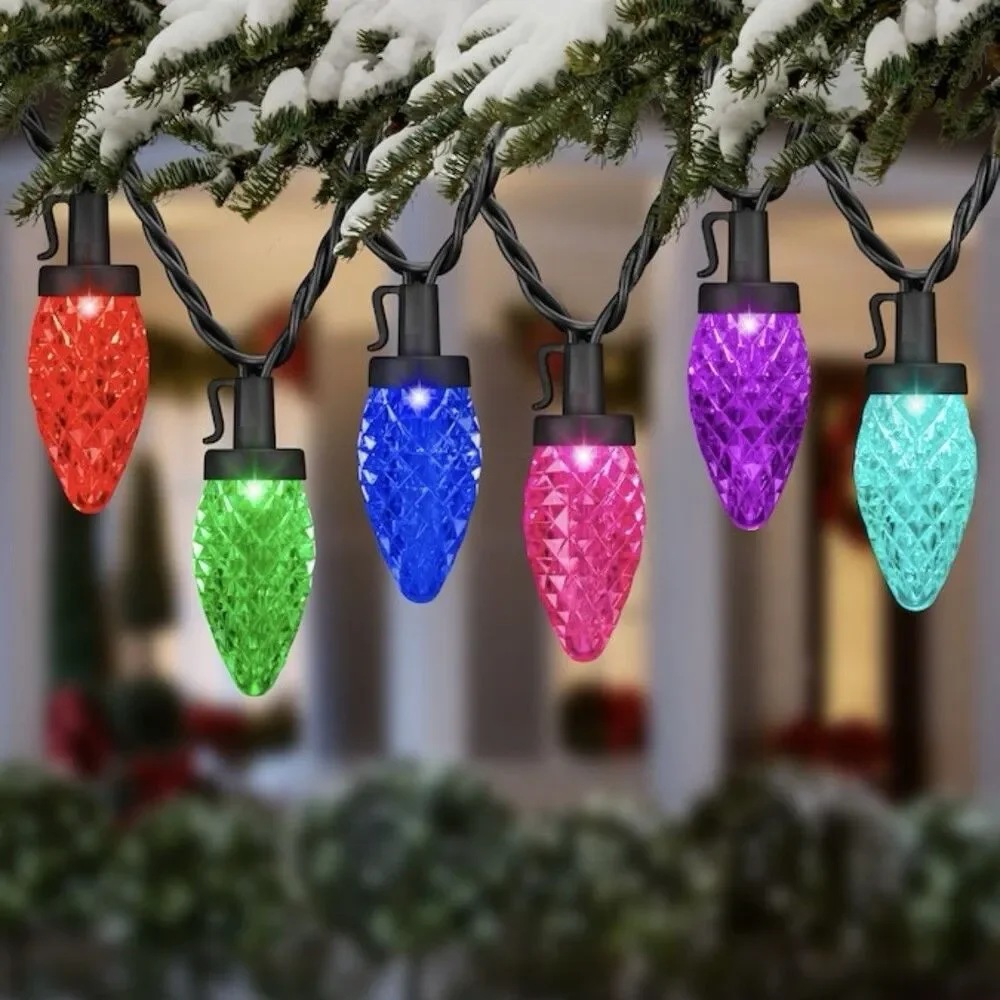 Gemmy Lightshow 24 Count 23ft C9 Color Motion Multicolor LED Christmas Lights
